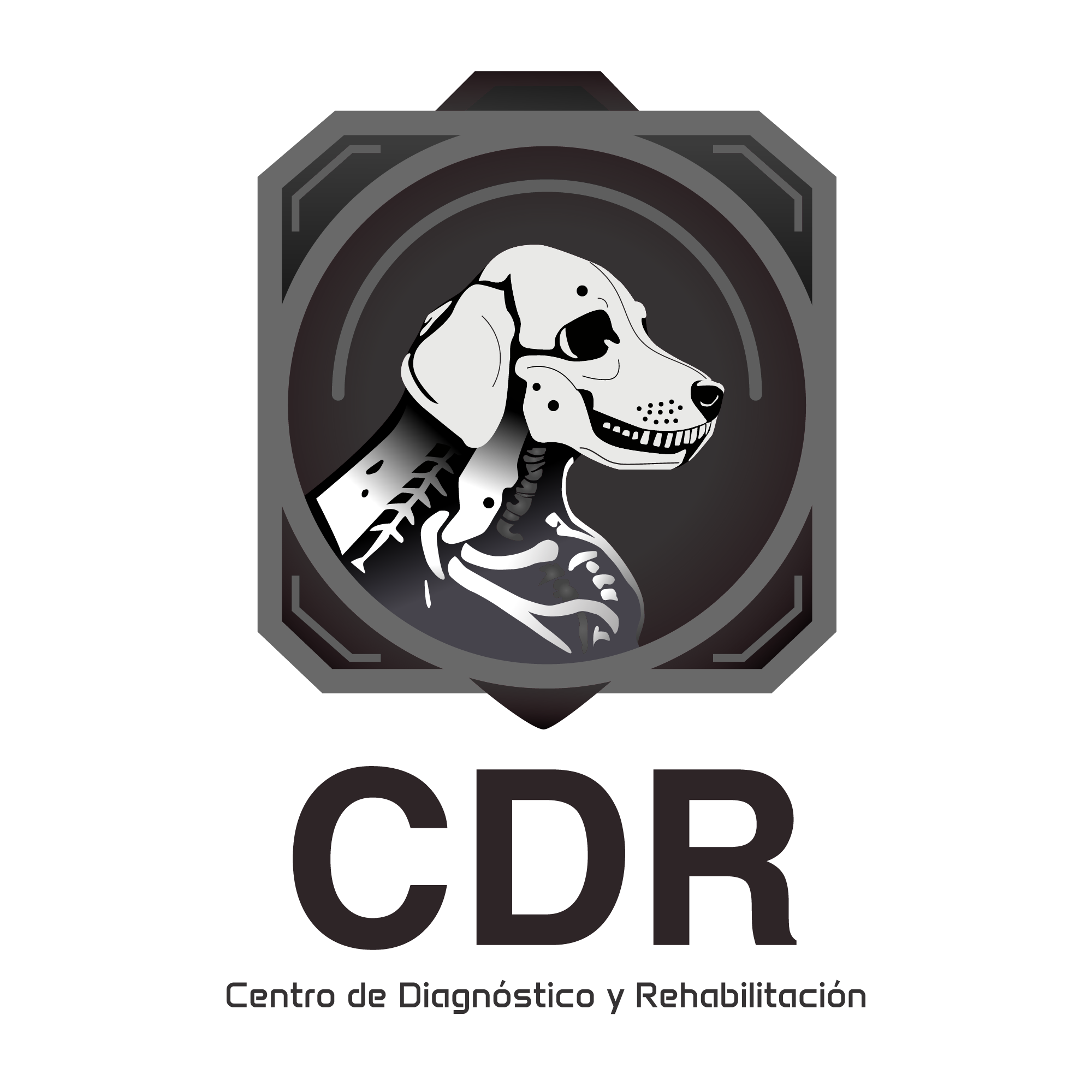 CDR